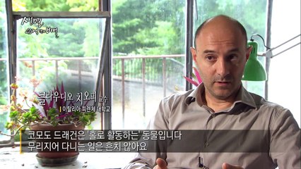 Docuprime_생명 40억년의 비밀 4부 - 반쪽을 위한 전략, 짝짓기_#001