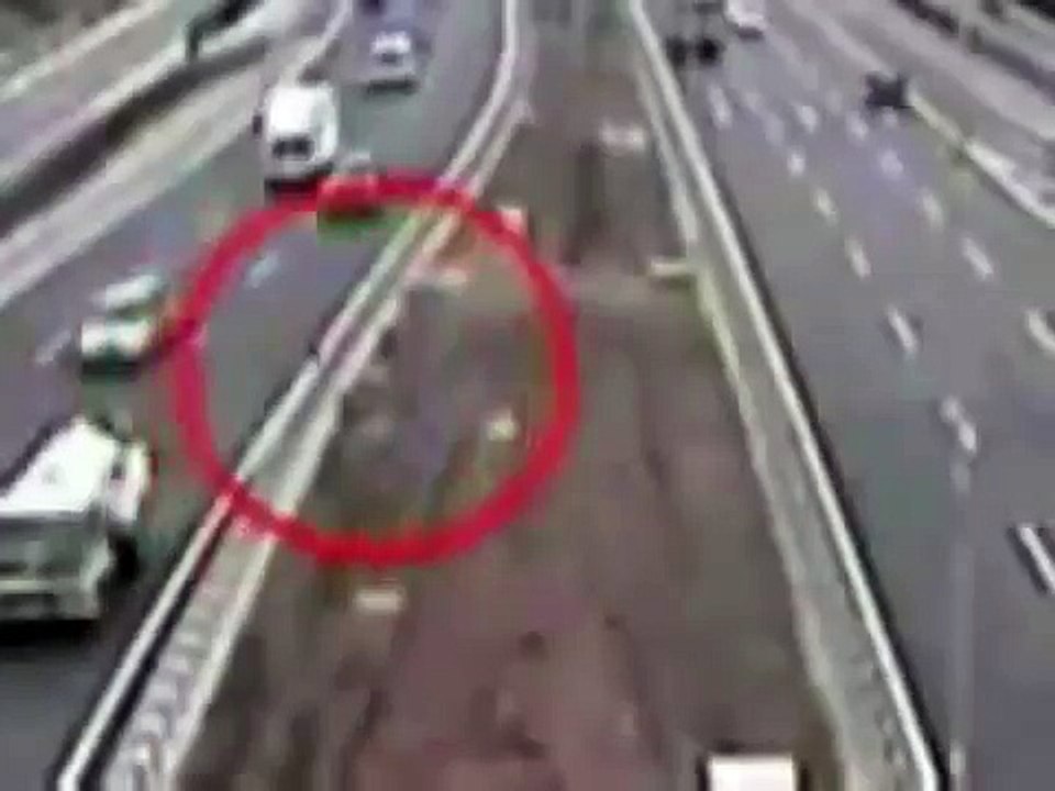 Hero dog saves another after it was hit in the...