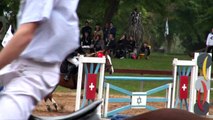 Horse jumping competition #Show jumping#horse jumping competition,Jumping | Equestrian | Videos,