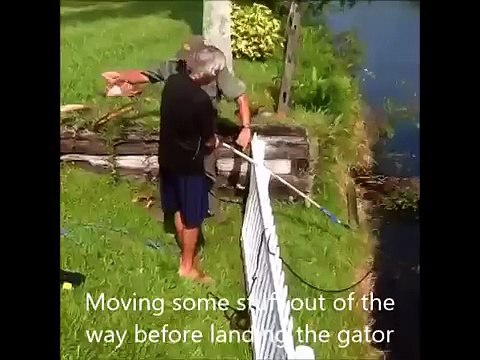 Alligator Trapper catches nuisance alligator July 2013