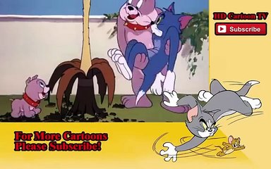 Tom And Jerry New Best Cartoon Movies episodes for March 2015