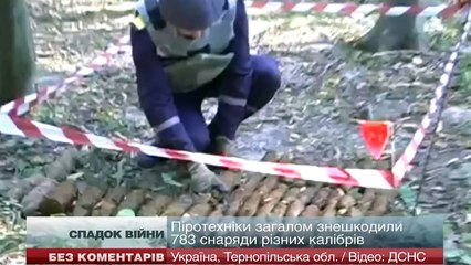 В Тернопольской области обезвредили снаряды времен войны