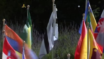 Cybernetyczna partyzantka