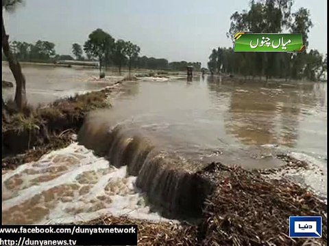 Dunya News - Mian Channu: Wheat crops destroyed due to crack in canal