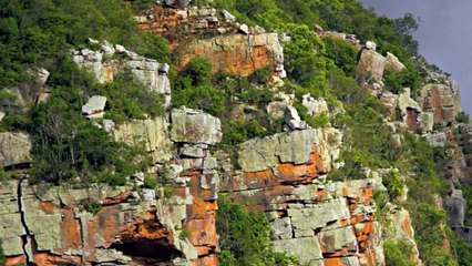 Caatinga Um Novo Olhar - Apresentacao