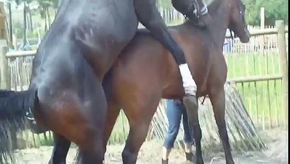 SAILLIE 1 DU 3 05 2011 QUIDAM et PARISIS