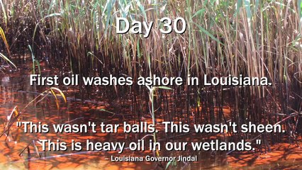 Timeline of the Gulf Oil Disaster: Make BP Restore