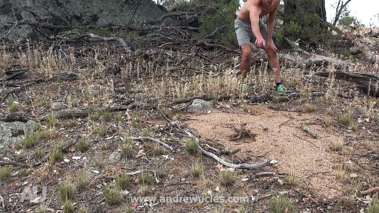 ANT ATTACK & ECHIDNA (GRAPHIC Content) with Andrew Ucles