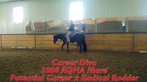 Career Diva AQHA Western Mare For Sale [[SOLD]]