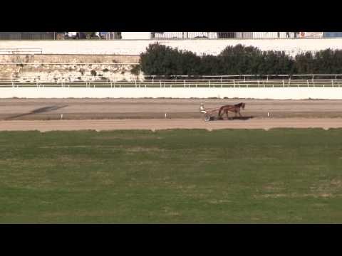 Napoli - Torna il Gran Premio Lotteria all'ippodromo di Agnano (30.04.15)