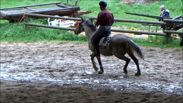 Hunter Centaures Mai 2015 - Jean & Jean-Luc