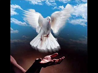 Kazım Koyuncu - Dünyada Bir Yerdeyim