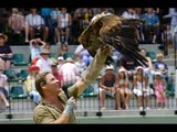 Bob Irwin speaks on why he left Australia Zoo