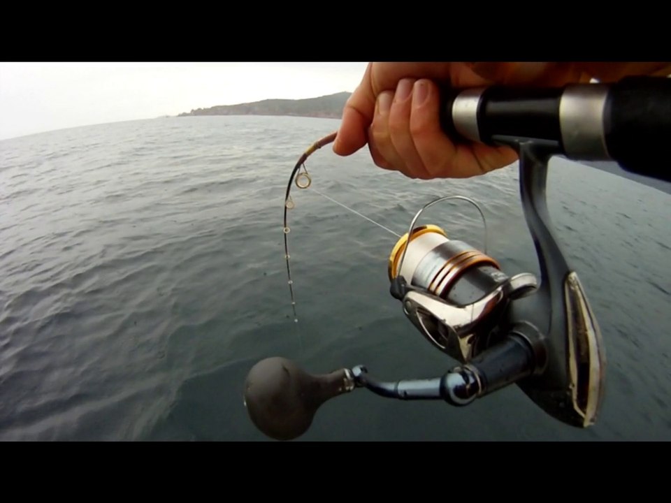 BigFishing1