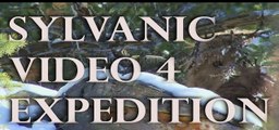 Sylvanic Bigfoot Video 5 Expedition.  2 MILLION to the person who finds Sasquatch before we do!