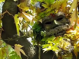 THERE'S SOMETHING HAPPENING HERE