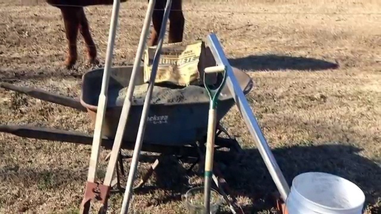 How to Install a Purple Martin Pole and Gourd Racks