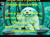 ✰♡•◡•♡✰ Sê quem és, porque és apenas o que és e como és ✰♡•◡•♡✰