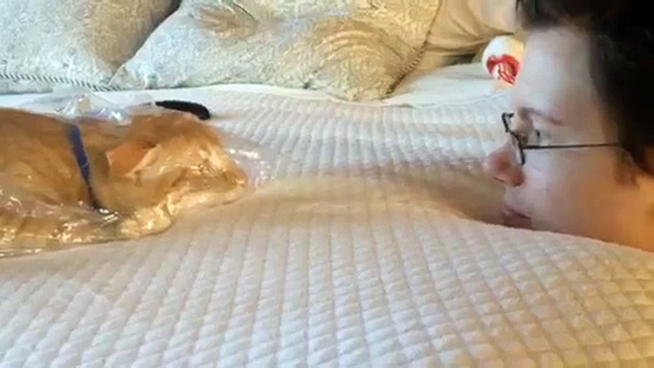 Cat staring contest
