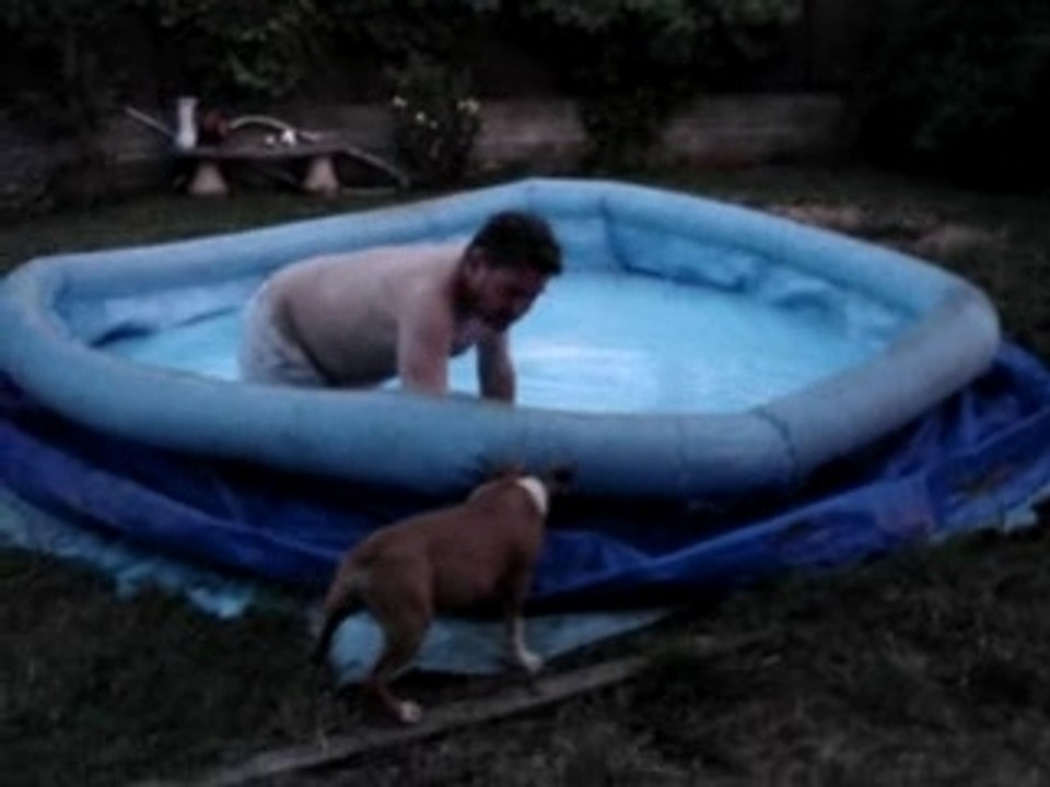 balto l'emmerdeur lol