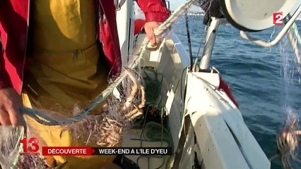 L'araignée : la spécialité culinaire de l'île d'Yeu