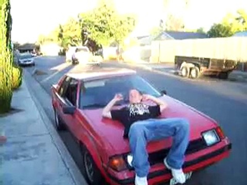 pussy