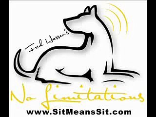 Teach your dog to look at you and look away.