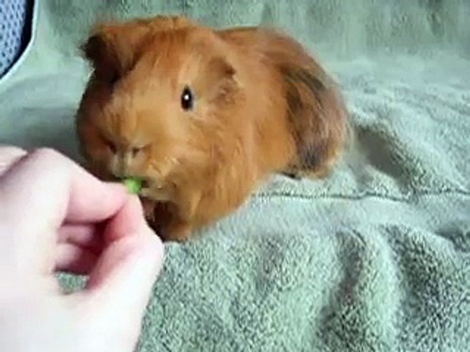 Gary's Trick