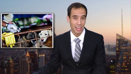 Dog Meat Eating Festival in China | China Uncensored