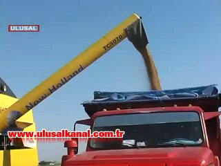 Türkiye'nin ithal ettiği 35 bin ton buğdayın kalitesiz olduğu ortaya çıktı