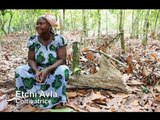Le donne del cacao - Costa d'Avorio