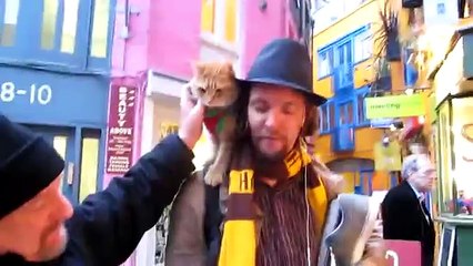 Bob The Cat at Covent Garden