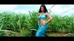 Hum Tum Ko Nigahon Mein HD Video Song - Garv