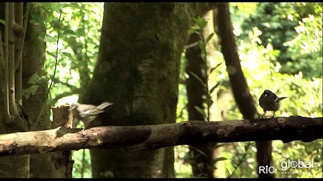 Video Promocional La Palma. Islas Canarias