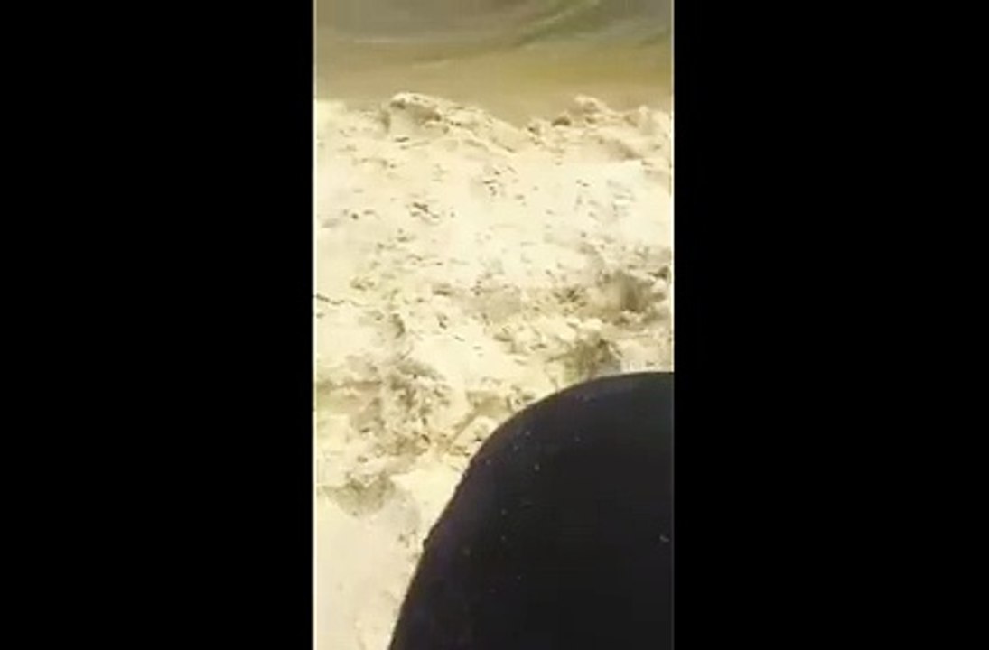 Snake is Swimming Like Fish
