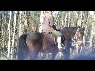 Tyttö täydellinen ;)