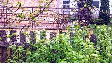 Zilite saka ka bus calji