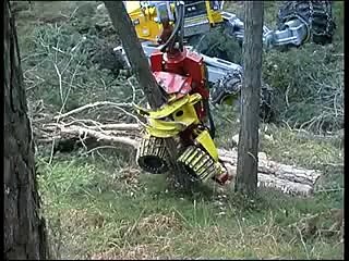 PAK PK
