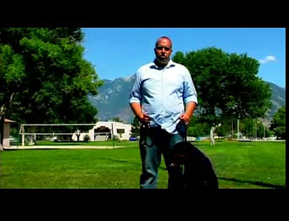 Dog Training Tips : Train for a Rescue Dog