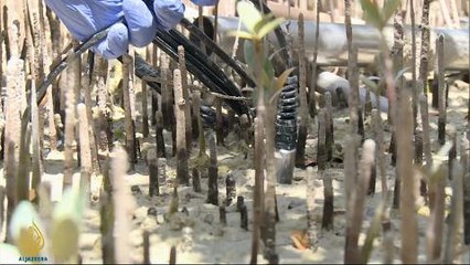 Counting the Cost - The economic impact of Nepal's earthquake