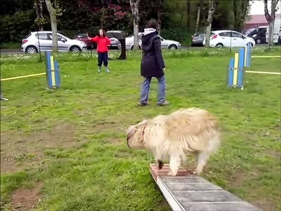 Anne et foxy entrainement du 25 avril 2015