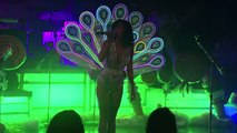 Katy Perry - Peacock (Live on Letterman) - YouTube