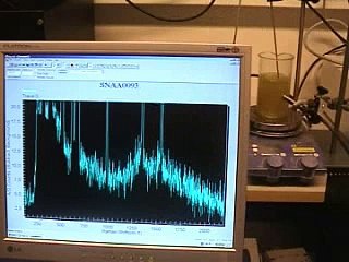 In-line Raman with sol-gel method using glucan polymers