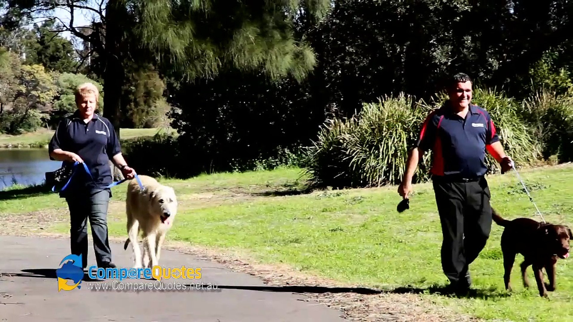 ⁣Pet Carriers International | Pet Transport | Moving Pets | Moving Animals | Animal Transport