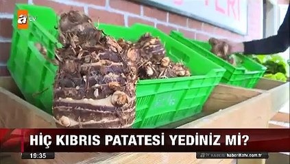 Vitamin deposu Kıbrıs patatesi Kolokas nasıl pişiriliyor