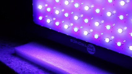TaoTronics 120W LED Light Review