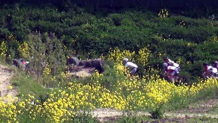 Arkel Cat5 02-05-2015