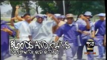 Bloods & Crips - Nationwide R.I.P. Ridaz (HD)    - Bohemia After Dark