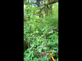 Jipsy 11h30 sur un gros à la bouche d'eau