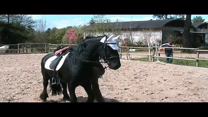 Equitazione Classica Dressage - Francesco Vedani - Insegnare il trotto medio